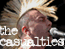 the casualties